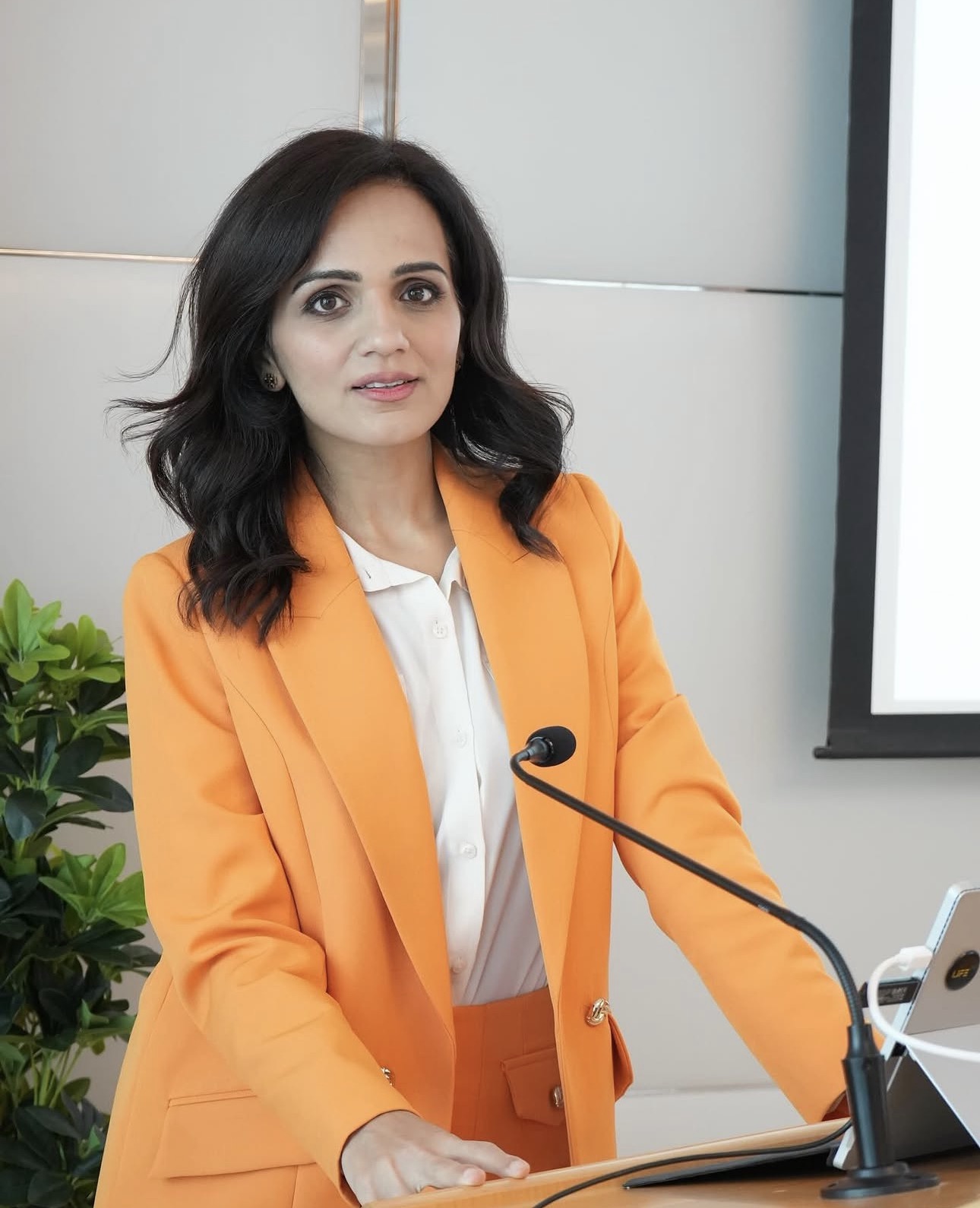 Zainab speaking at a professional event